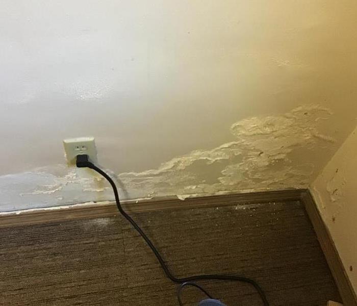 A pipe busted outside and seeped through the wall inside which caused the water damage.